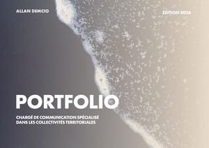 Portfolio Allan DEMCIO