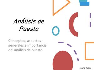 El Análisis de Puesto