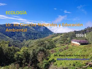Lic Cn 2026 Experiencia En Clase