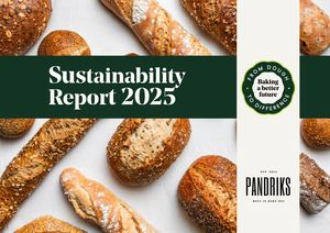 Sustainability Report Pandriks Group
