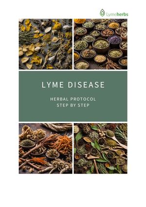 Lyme Disease Herbal Protocol Step By Step