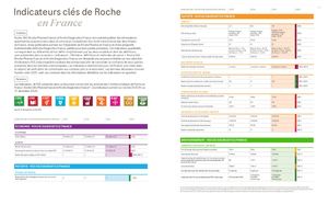 Tableau Des Indicateurs Roche En France 2025