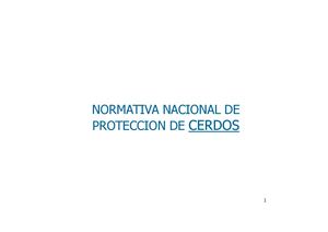 Tema 41 Proteccion Cerdos Presentación