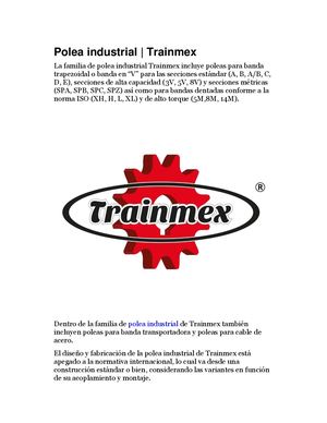 Polea Industrial