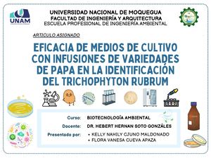Mapa Conceptual de biotecnologia