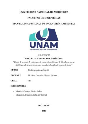 MAPA CONCEPTUAL DE ARTICULO - YANIRA MAURICIO QUISPE - UNAM