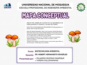 Mapa conceptual