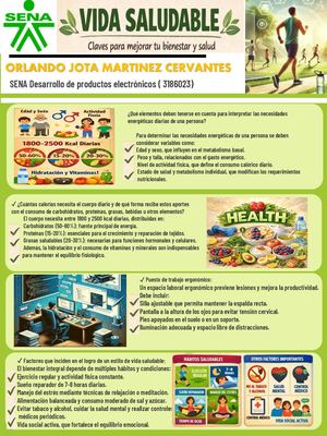Evidencia De Ga6 230101507 Aa2 Ev01 Infografía – Estilos De Vida Saludable