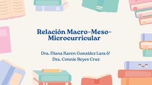 Relación Macro–meso–microcurricular