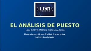 Análisis De Puesto (1)
