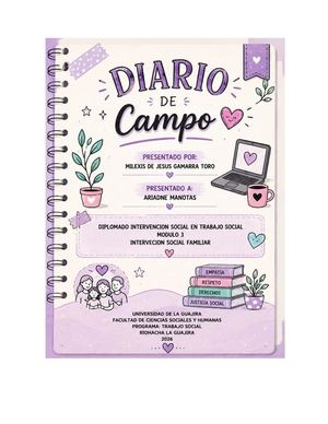 Diario De Campo Diplomado