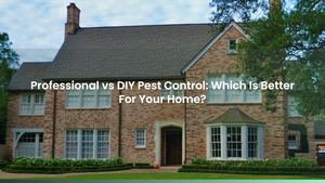 Professional vs DIY Pest Control: Which Is Better For Your Home?