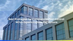 Best Strategies For Commercial Pest Control: NOVA Experts Explore the Options