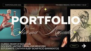 Portafolio Sistema Oseo