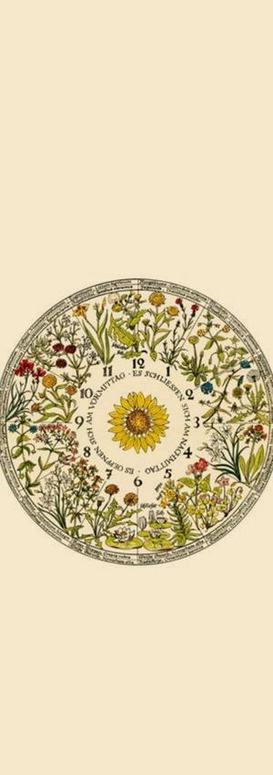 L'horloge de Flore