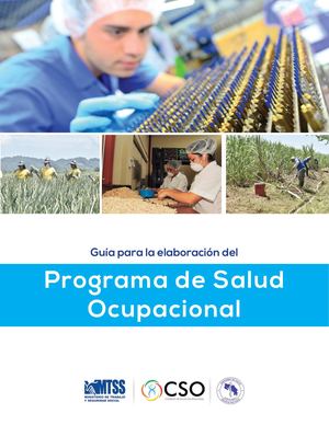 Guia Programa Salud Ocupacional