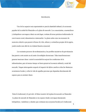 La Privatizacion Del Pueblo