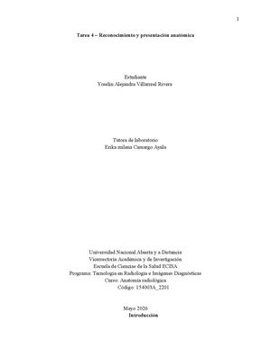 Informe Final, Tarea 4 A Radiologica