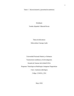 Informe Final, Tarea 4 A Radiologica