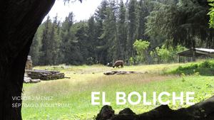 El Boliche