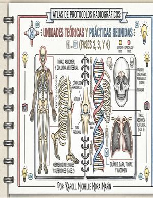 Criterios De Calidad Y Posicionamiento En Radiología Convencional
