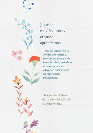 Revista Practica Pedagogica De Aula