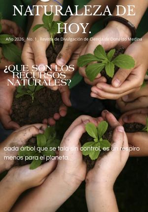 Revista