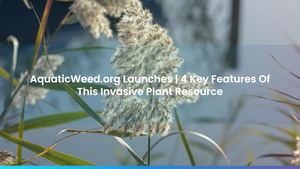 AquaticWeed.org Launches | 4 Key Features Of This Invasive Plant Resource