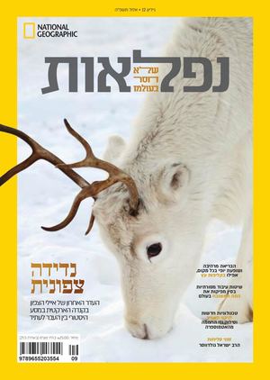נפלאות 12 אלול תשפ"ה