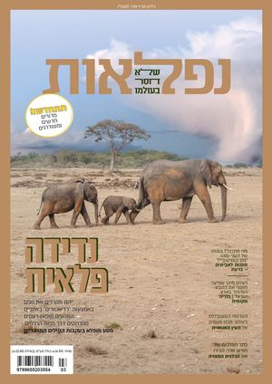 נפלאות 16, אדר תשפ"ו