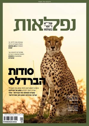 נפלאות 18 אייר תשפ"ו