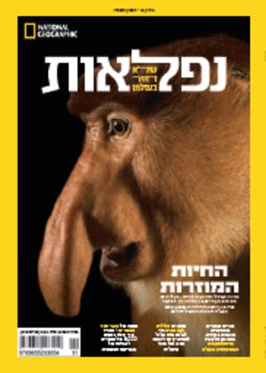 נפלאות 14 טבת תשפו