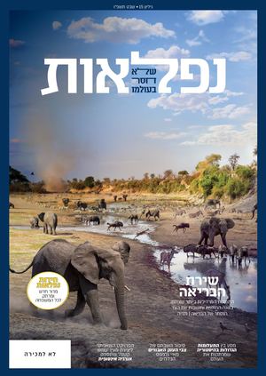 נפלאות 15 שבט תשפו