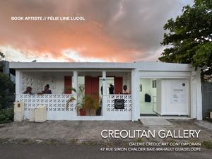 Portfolio Felie Line Lucol