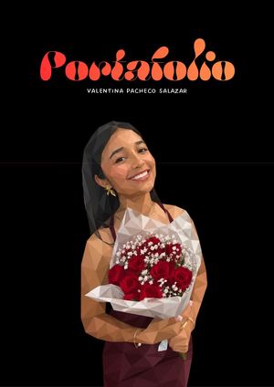 portafolio Valentina Pacheco Salazar