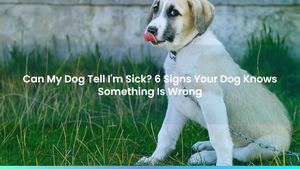 Can My Dog Tell I'm Sick? 6 Signs Your Dog Knows Something Is Wrong
