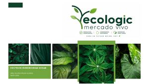 Ecologic Proyecto