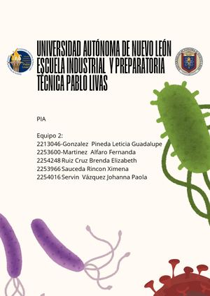 Equipo2_Pia_ Bs