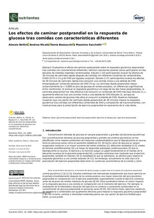 Pdf Traducido