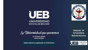 Acuerdos Ministeriales No 138 Y No 341 Belinda Ramirez