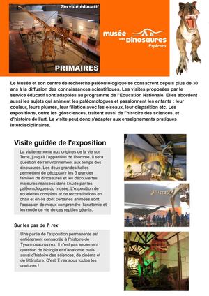 Musée Des Dinosaures Primaire