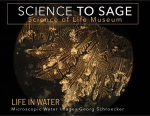 Life of Water Gallery by  Georg Schroecker