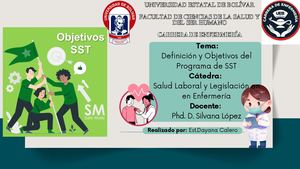 Definición Y Objetivos Del Programa De Sst