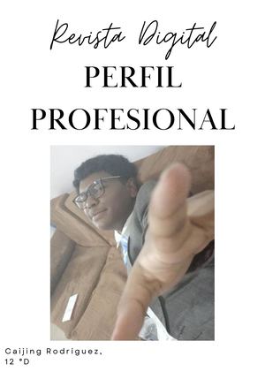 Revista Perfil Profesional