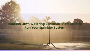 Houston Lawn Watering Schedule | How Often to Run Your Sprinkler System