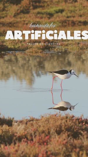 humedales Artificiales