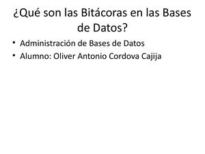 Bitacoras Bases Datos
