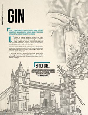 The District Of Gin