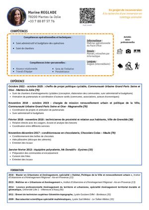 Cv immersion toilettage animalier