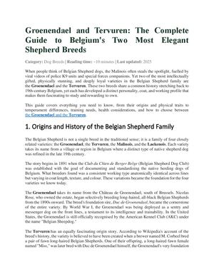 The Complete Guide To Belgium's Two Most Elegant Shepherd Breeds